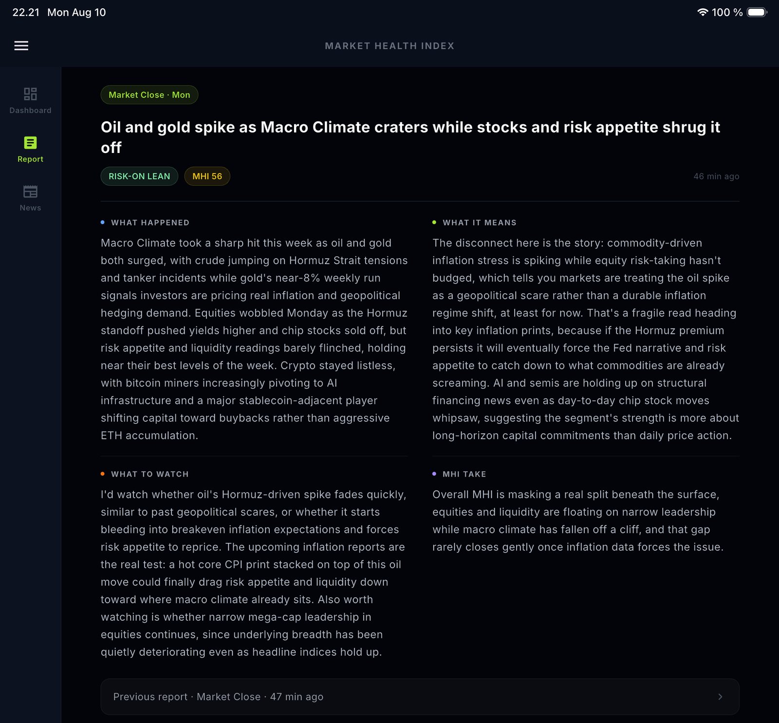 Report IA su iPad con layout a due colonne